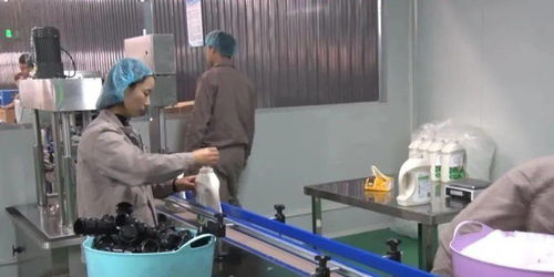 关注 汉阴年产2万吨洗涤用品生产加工项目正式投产
